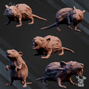 Crypt's Rats by DakkaDakka - image 3