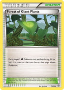 Forest of Giant Plants (74/98) [AOR]