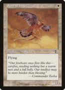 Suntail Hawk (28) [JUD]