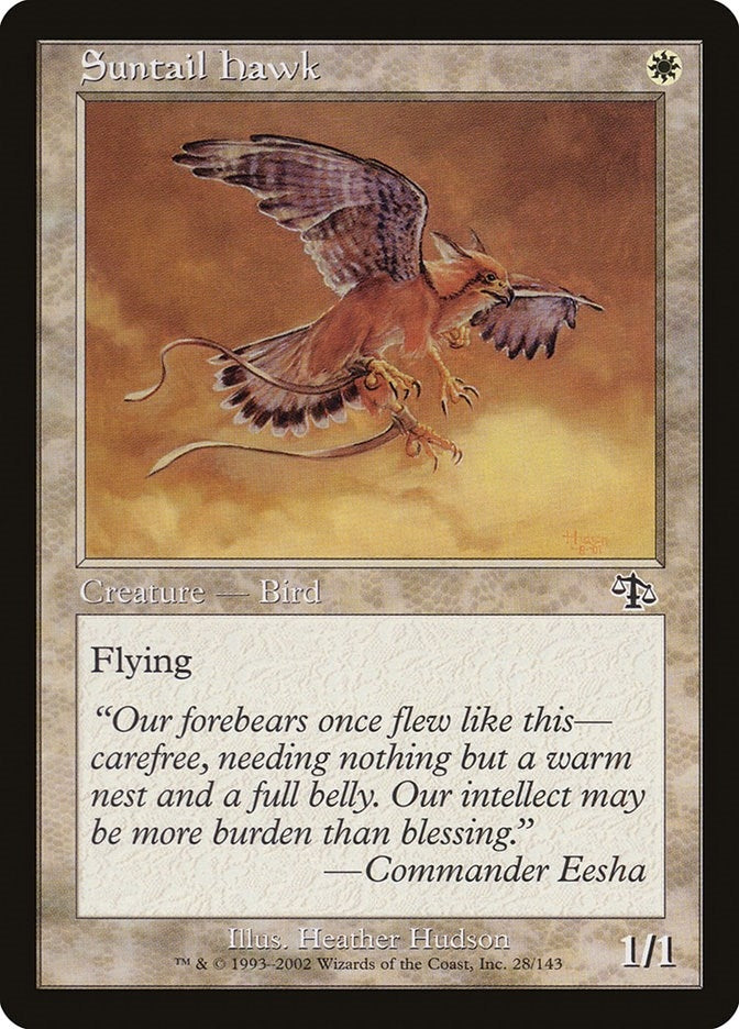 Suntail Hawk (28) [JUD]