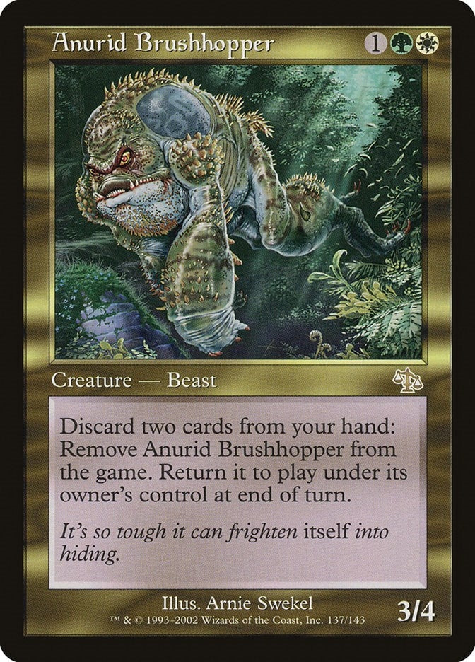 Anurid Brushhopper (137) [JUD]