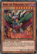 Bird of Paradise Lost (CORE-EN040) [CORE]