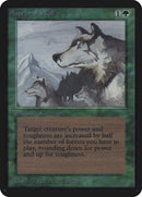Aspect of Wolf [LEA]