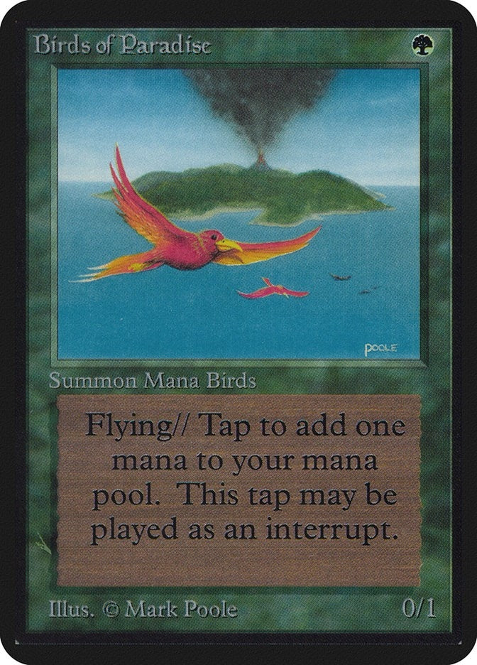 Birds of Paradise [LEA]