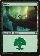 Forest 038 (38) [DDP]