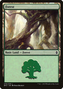 Forest 270 (270) [BFZ]