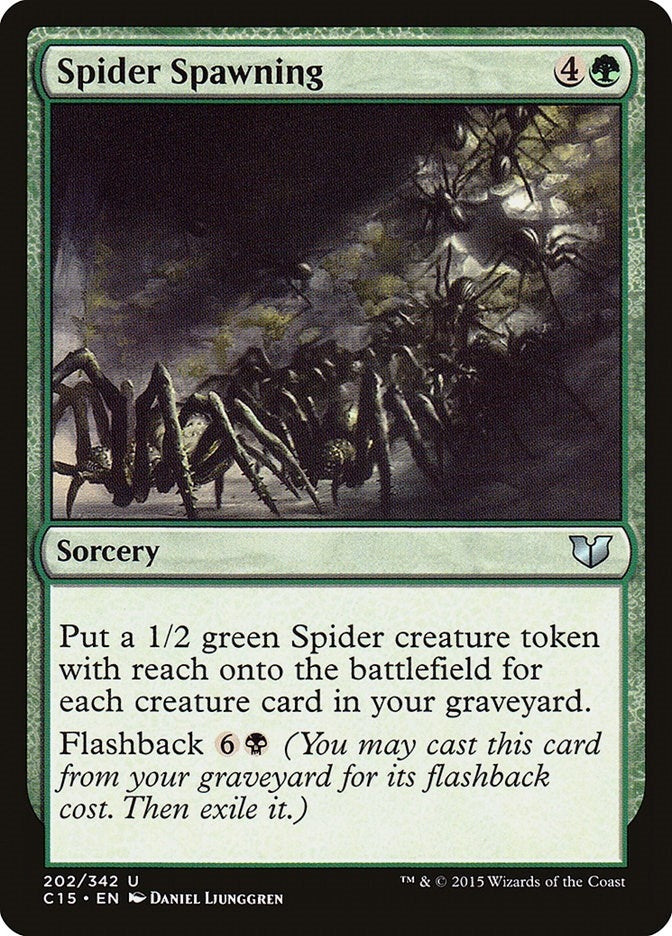 Spider Spawning (202) [C15]