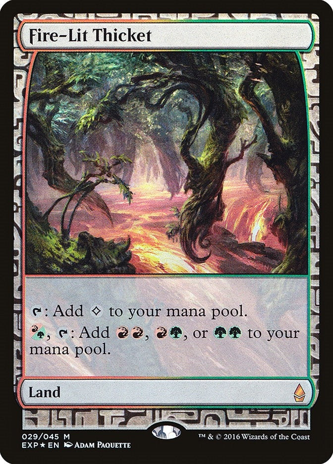 Fire Lit Thicket (29) [EXP]