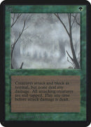 Fog [LEA]