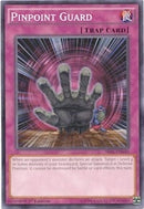 Pinpoint Guard (SR01-EN040) [SR01]