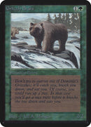 Grizzly Bears [LEA]