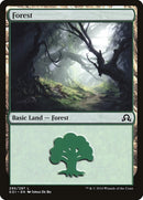 Forest 295 (295) [SOI]