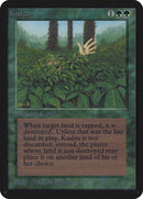 Kudzu [LEA]