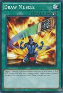 Draw Muscle (YS16-EN024) [YS16]
