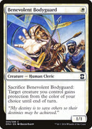 Benevolent Bodyguard (4) [EMA]