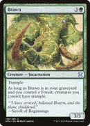 Brawn (159) [EMA]