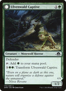 Ulvenwald Captive // Ulvenwald Abomination [Eldritch Moon]