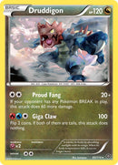 Druddigon (83/114) [STS]