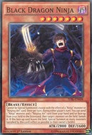Black Dragon Ninja (TDIL-EN036) [TDIL]