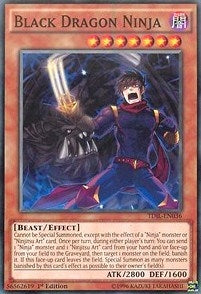 Black Dragon Ninja (TDIL-EN036) [TDIL]