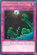 Floodgate Trap Hole (TDIL-EN076) [TDIL]