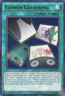 Flower Gathering (DRL3-EN040) [DRL3]