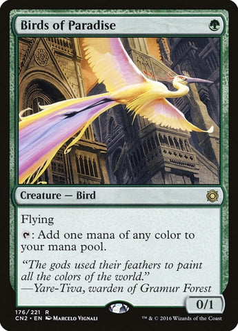 Birds of Paradise (176) [CN2]