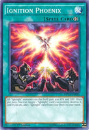 Ignition Phoenix (MP16-EN085) [MP16]