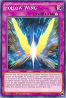 Follow Wing (MP16-EN224) [MP16]