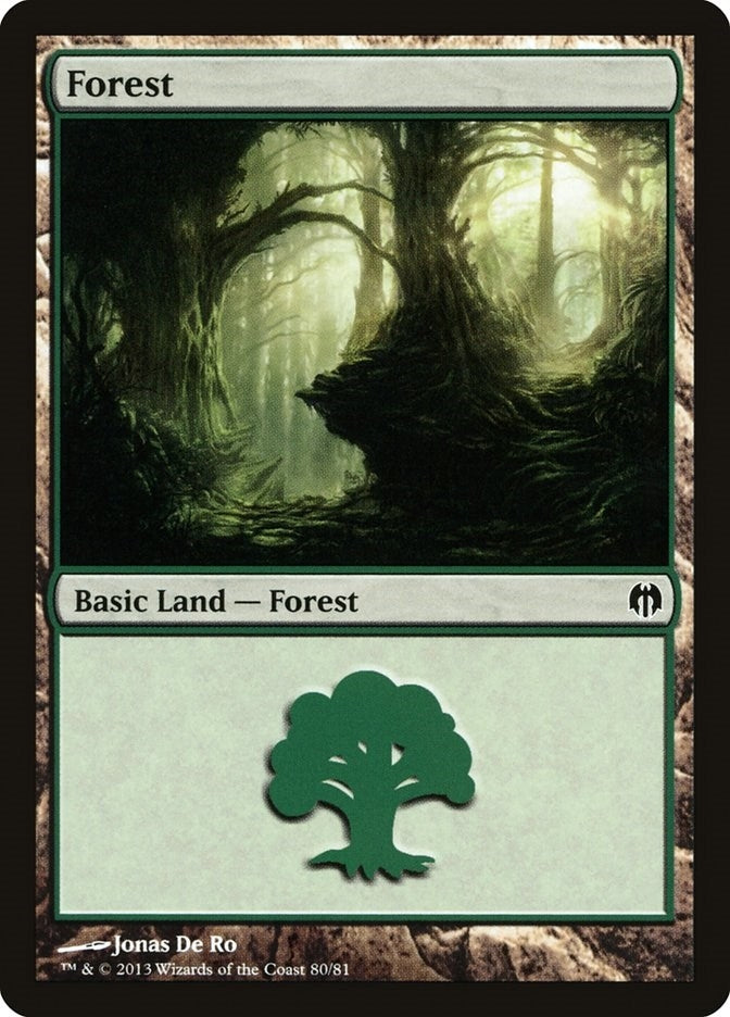 Forest 80 (80) [DDL]