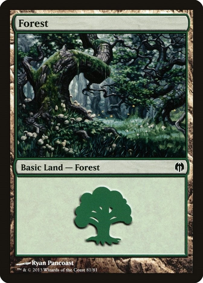 Forest 81 (81) [DDL]