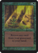 Regrowth [LEA]