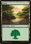Forest 349 (349) [C16]