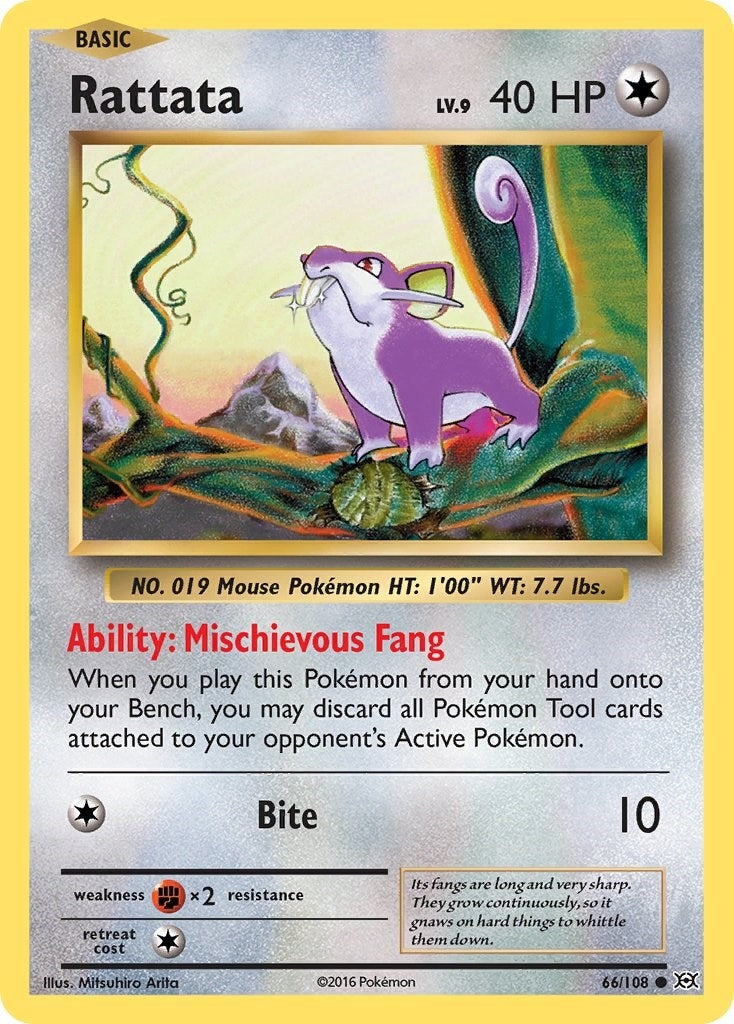 Rattata (66/108) [EVO]