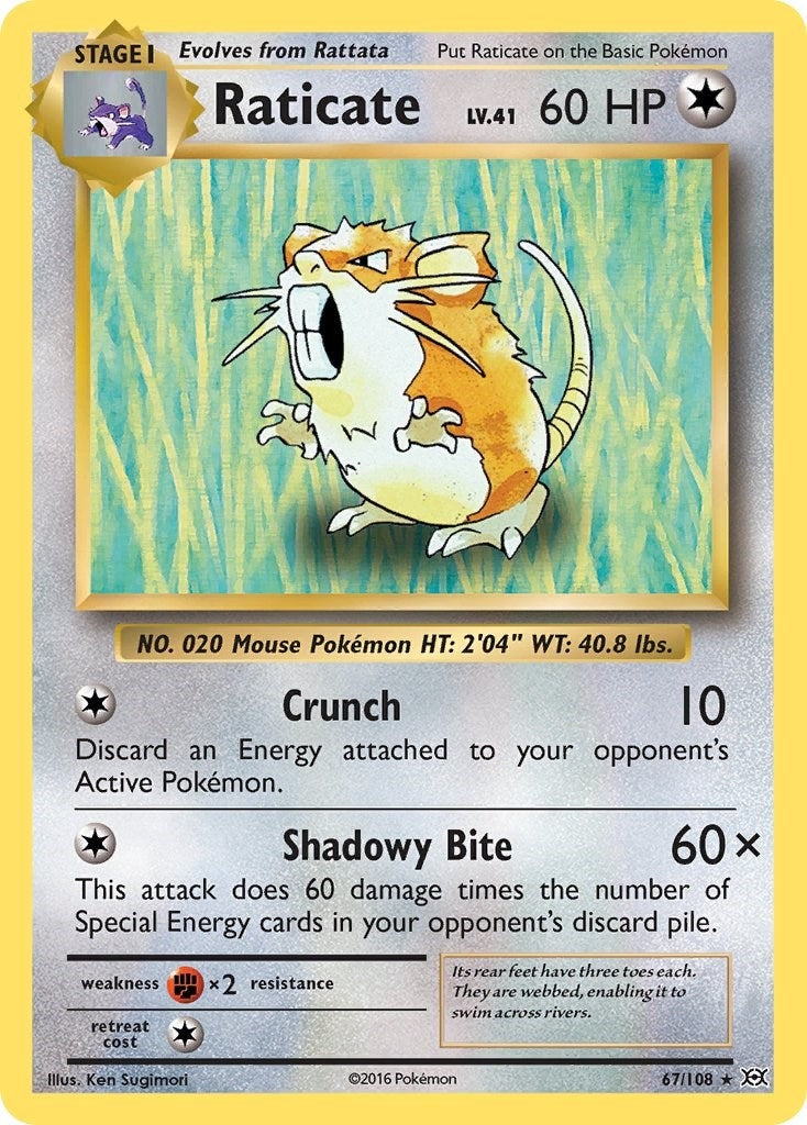 Raticate (67/108) [EVO]