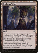 Evolving Wilds (294) [C16]