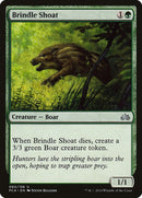 Brindle Shoat (60) [PCA]