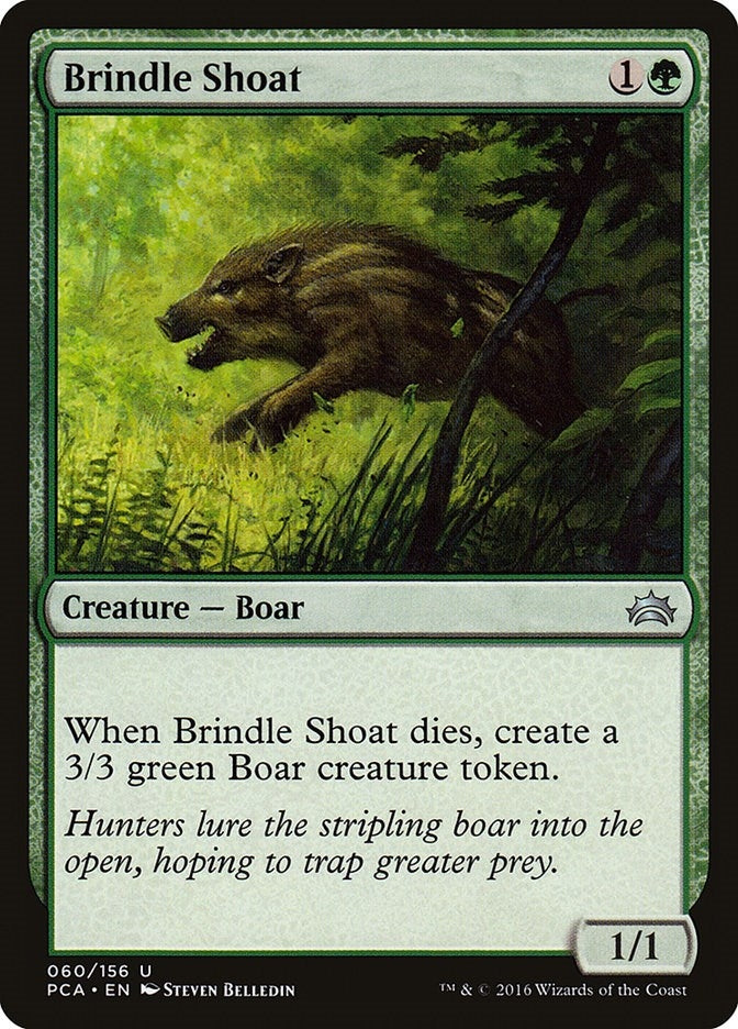Brindle Shoat (60) [PCA]