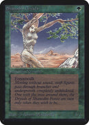 Shanodin Dryads [LEA]