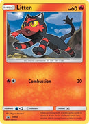 Litten SM02 (SM02) [SMP]