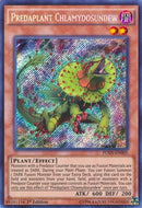 Predaplant Chlamydosundew (FUEN-EN005) [FUEN]