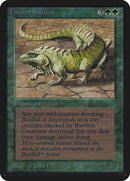 Thicket Basilisk [LEA]