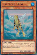 Treeborn Frog (DUSA-EN058) [DUSA]