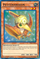 Petiteranodon (SR04-EN000) [SR04]