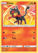 Litten SM23 (SM23) [SMP]