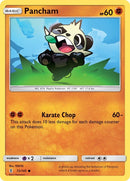 Pancham (72/145) [SM02]