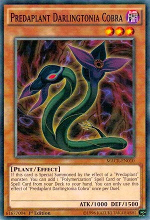 Predaplant Darlingtonia Cobra (MACR-EN010) [MACR]