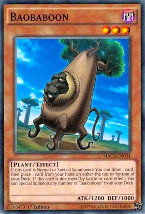 Baobaboon (MACR-EN034) [MACR]