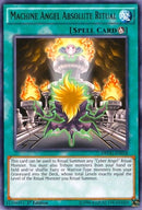 Machine Angel Absolute Ritual (DPDG-EN018) [DPDG]