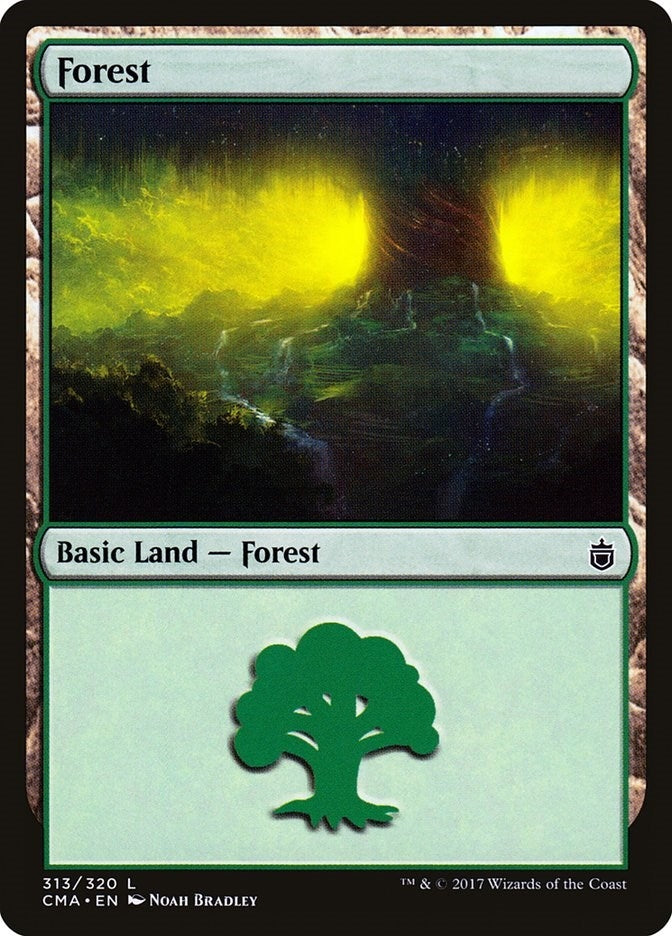 Forest 313 (313) [CMA]